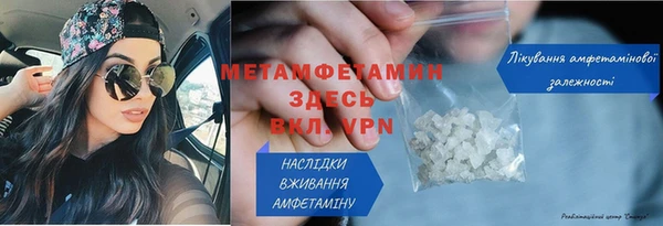 ГАЛЛЮЦИНОГЕННЫЕ ГРИБЫ Гусь-Хрустальный