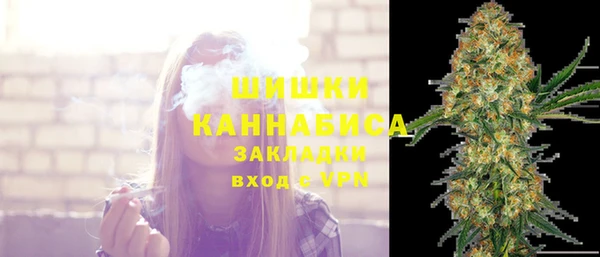 ГАЛЛЮЦИНОГЕННЫЕ ГРИБЫ Гусь-Хрустальный