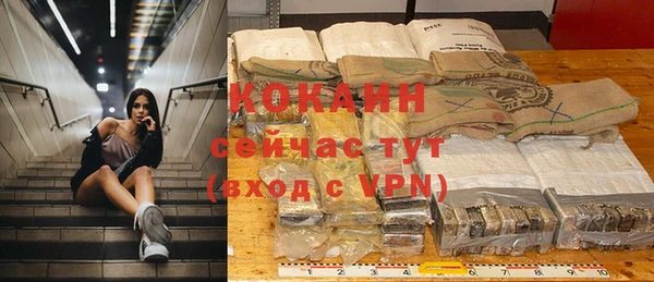 ГАЛЛЮЦИНОГЕННЫЕ ГРИБЫ Гусь-Хрустальный