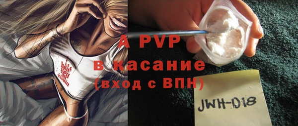 ГАЛЛЮЦИНОГЕННЫЕ ГРИБЫ Гусь-Хрустальный
