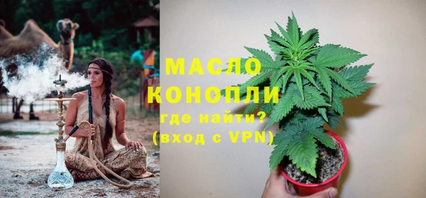 ГАЛЛЮЦИНОГЕННЫЕ ГРИБЫ Гусь-Хрустальный