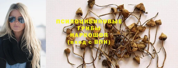 ГАЛЛЮЦИНОГЕННЫЕ ГРИБЫ Гусь-Хрустальный