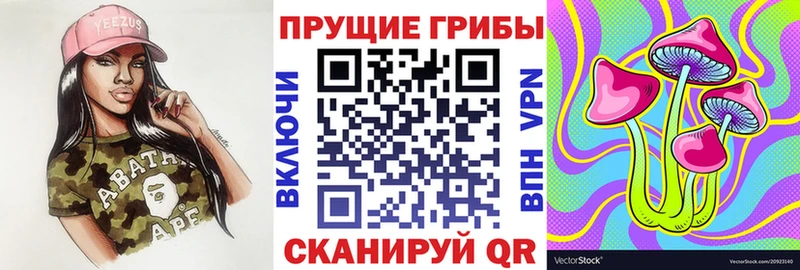 Купить  Сланцы  Псилоцибиновые грибы мицелий 