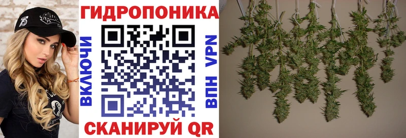 Бошки марихуана LSD WEED Купить закладки Сланцы